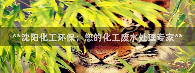 亿万百度百科：**沈阳化工环保：您的化工废水处理专家**