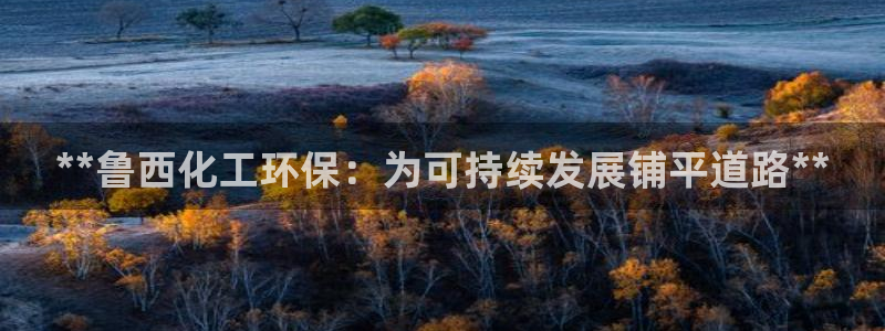 亿万先生合并网址是什么：**鲁西化工环保：为可持续发展铺平道路**