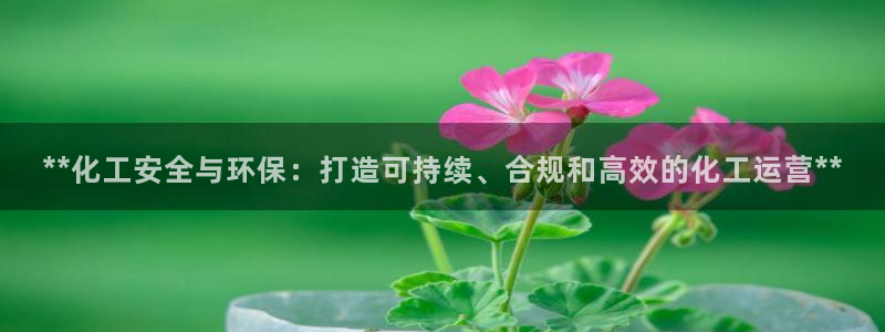 亿万先生客户端官网登录：**化工安全与环保：打造可持续、合规和高效的化工运营**