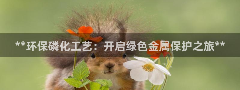 亿万钱包app下载：**环保磷化工艺：开启绿色金属保护之旅**