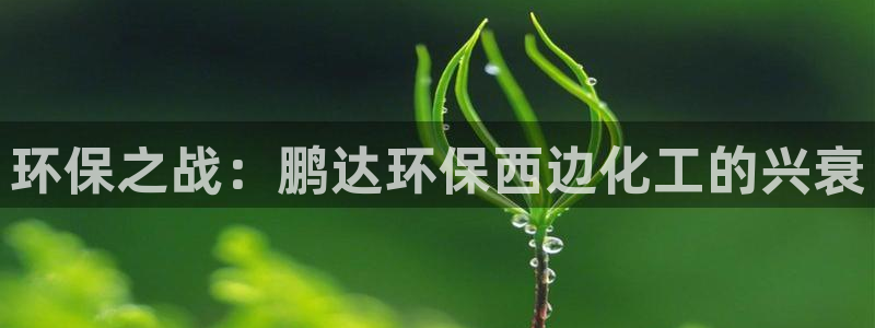 亿万的亿：环保之战：鹏达环保西边化工的兴衰