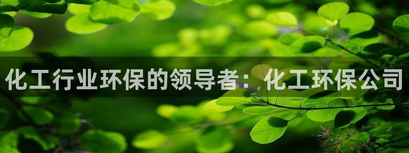 亿万先生官方客服电话：化工行业环保的领导者：化工环保公司