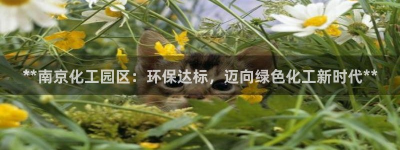 亿万先生手机版入：**南京化工园区：环保达标，迈向绿色化工新时代**