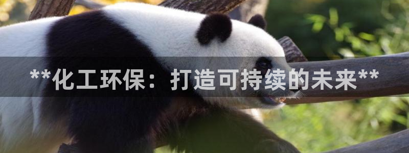 亿万城市手游官网：**化工环保：打造可持续的未来**