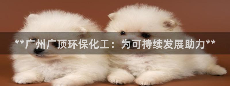 mr001亿万先生：**广州广顶环保化工：为可持续发展助力**