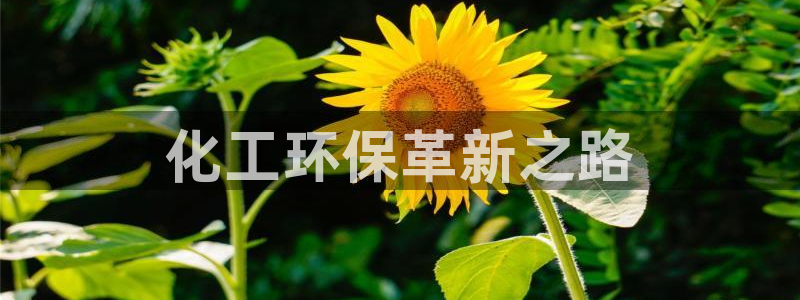 亿万解析：化工环保革新之路