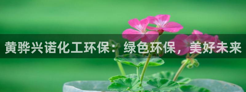亿万先生合并：黄骅兴诺化工环保：绿色环保，美好未来