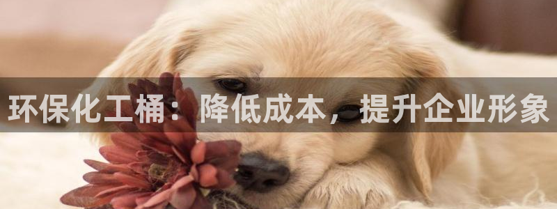 亿万先生手机网：环保化工桶：降低成本，提升企业形象