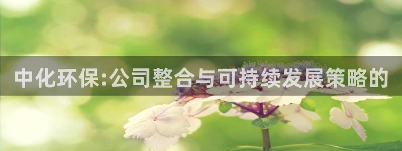 亿万先生官方网站：中化环保:公司整合与可持续发展策略的