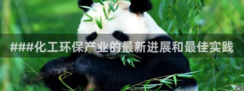 亿万先生手机网页：###化工环保产业的最新进展和最佳实践