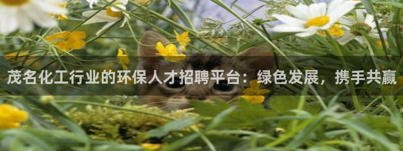 亿万先生手机版客户端下载安装：茂名化工行业的环保人才招聘平台：绿色发展，携手共赢
