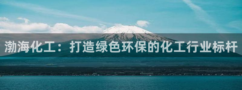 亿万同人字幕组微博的微博：渤海化工：打造绿色环保的化工行业标杆
