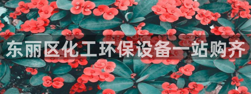 亿万先生007网页登录：东丽区化工环保设备一站购齐