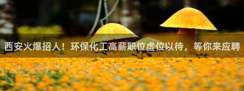 亿万国际平台是正规的吗安全吗：西安火爆招人！环保化工高薪职位虚位以待，等你来应聘