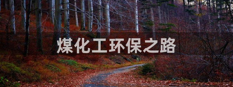 亿万先生mr008：煤化工环保之路
