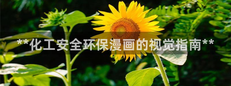 亿万同人字幕组的个人主页：**化工安全环保漫画的视觉指南**
