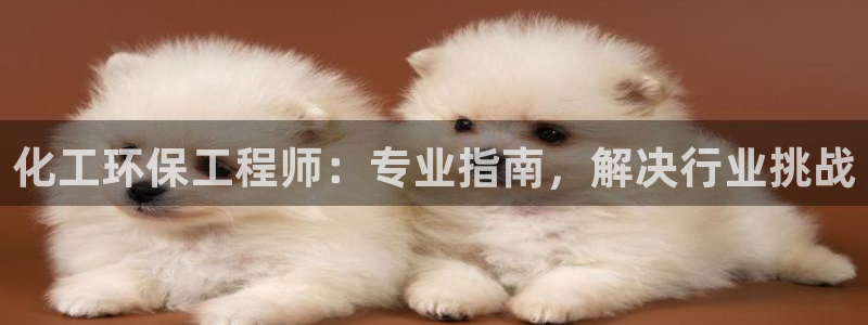 亿万先生客户端怎么下载：化工环保工程师：专业指南，解决行业挑战