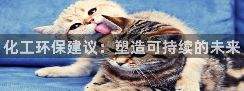 亿万先生游戏平台网址：化工环保建议：塑造可持续的未来
