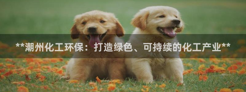亿万28下载地址：**潮州化工环保：打造绿色、可持续的化工产业**