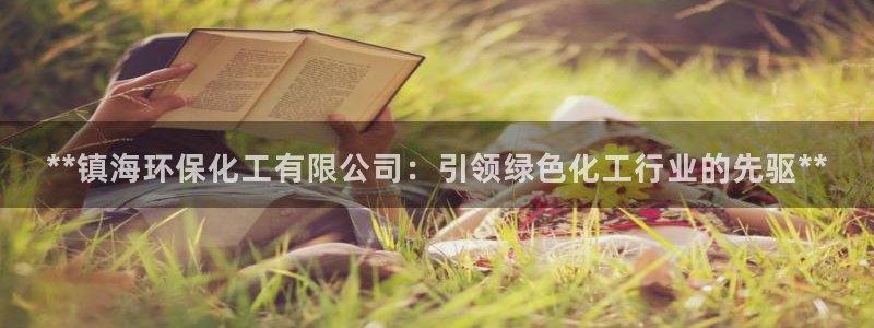 亿万国际游戏官网：**镇海环保化工有限公司：引领绿色化工行业的先驱**