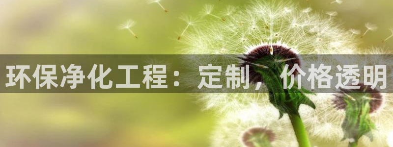 亿万堂官网：环保净化工程：定制，价格透明