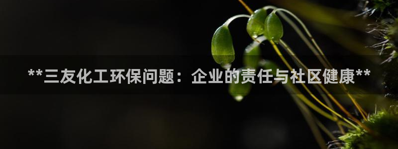 亿万红包版下载正版：**三友化工环保问题：企业的责任与社区健康**