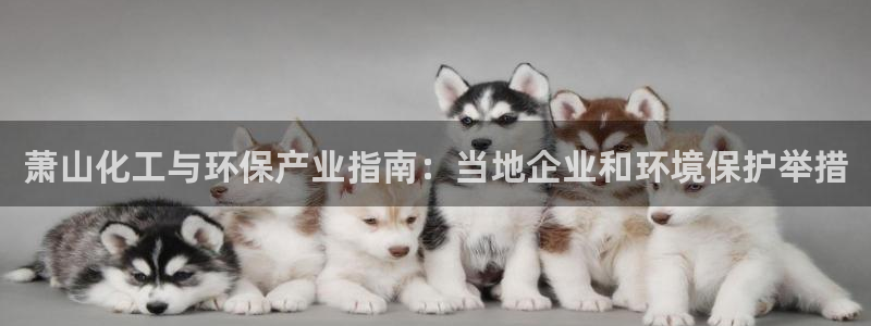 亿万财富网：萧山化工与环保产业指南：当地企业和环境保护举措