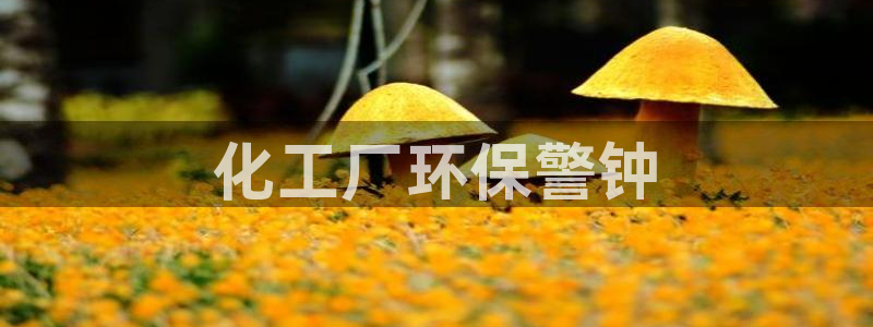 亿万先生充电桩怎么样：化工厂环保警钟