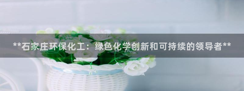 亿万先生现在的网址谁知道是真的：**石家庄环保化工：绿色化学创新和可持续的领导者**