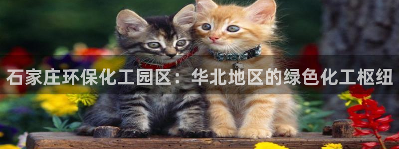亿万先生现在的网址谁知道：石家庄环保化工园区：华北地区的绿色化工枢纽