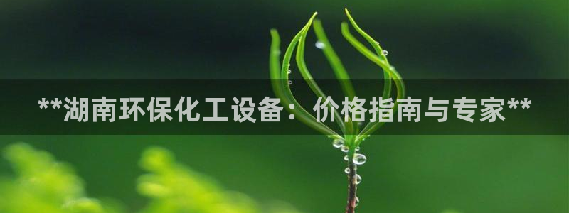 亿万讲了什么：**湖南环保化工设备：价格指南与专家**