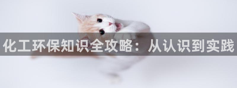 亿万先生网页版下载：化工环保知识全攻略：从认识到实践