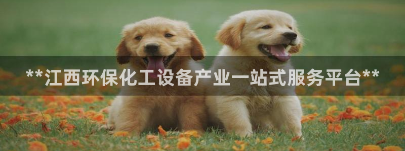 亿万先生 手机版下载安装：**江西环保化工设备产业一站式服务平台**