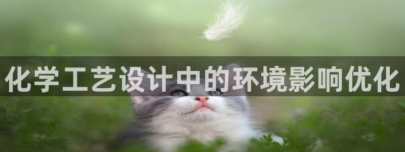 亿万先生换网址了吗知乎：化学工艺设计中的环境影响优化