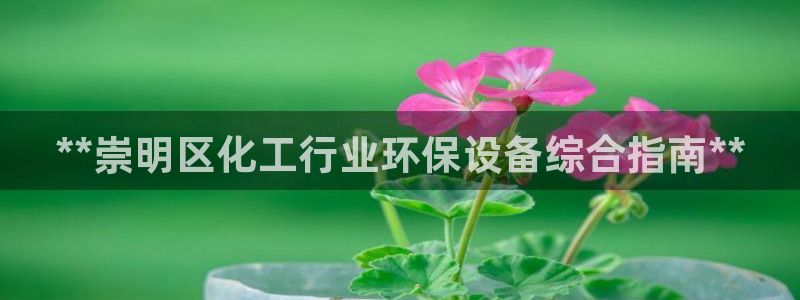 亿万先生合并网址是多少：**崇明区化工行业环保设备综合指南**