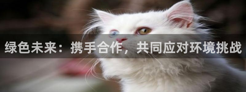 亿万国际：绿色未来：携手合作，共同应对环境挑战