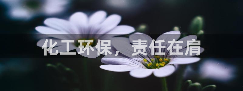 亿万先生网页版登录：化工环保，责任在肩