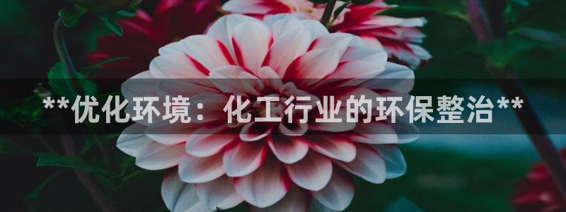 亿万先生：**优化环境：化工行业的环保整治**