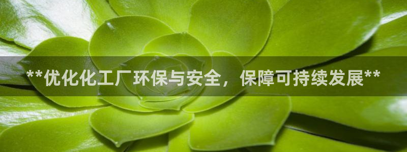 亿万先生官方客服：**优化化工厂环保与安全，保障可持续发展**
