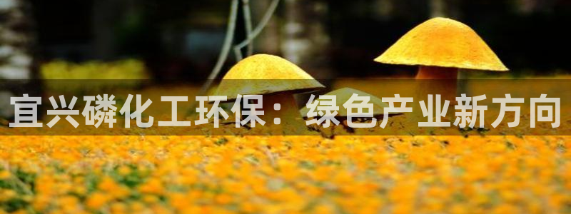 亿万手游官网网址：宜兴磷化工环保：绿色产业新方向