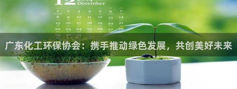 亿万先生首页：广东化工环保协会：携手推动绿色发展，共创美好未来