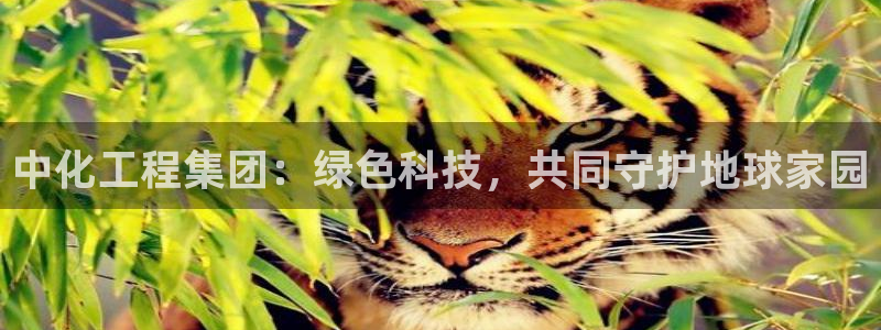 亿万先生网红：中化工程集团：绿色科技，共同守护地球家园
