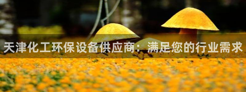 亿万先生网页版登录：天津化工环保设备供应商：满足您的行业需求