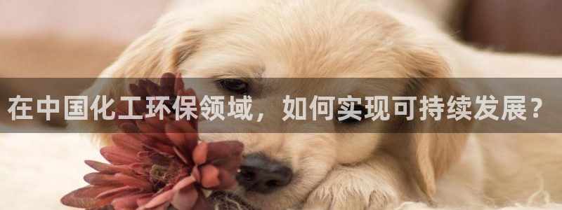 亿万万作者：在中国化工环保领域，如何实现可持续发展？