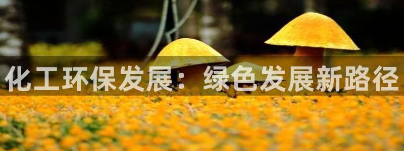 亿万先生mr014：化工环保发展：绿色发展新路径