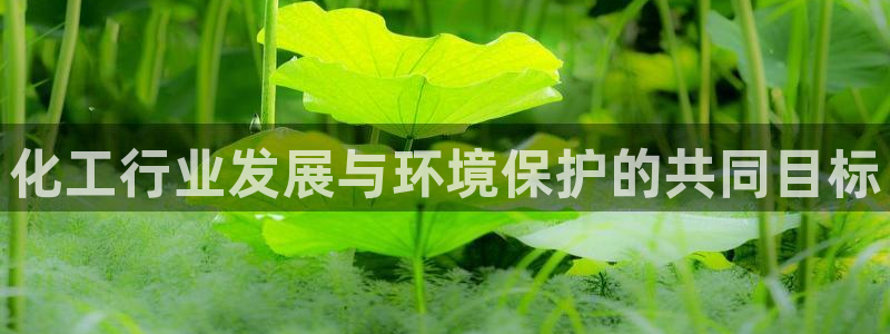 亿万网络科技有限公司ceo：化工行业发展与环境保护的共同目标