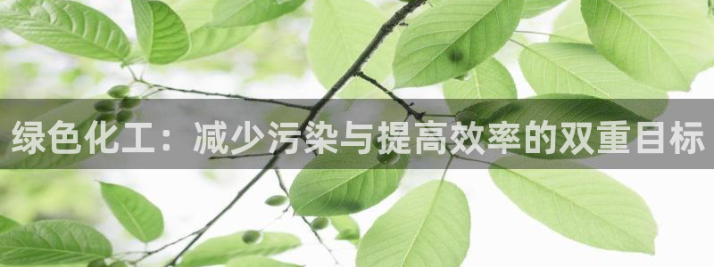 亿万先生官方网站下载手机版：绿色化工：减少污染与提高效率的双重目标