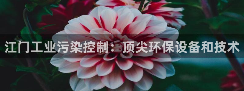 亿万先生手游下载：江门工业污染控制：顶尖环保设备和技术