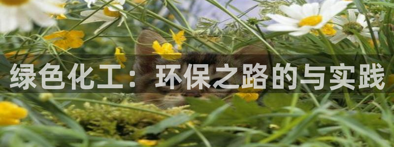 亿万先生情侣车有什么用：绿色化工：环保之路的与实践