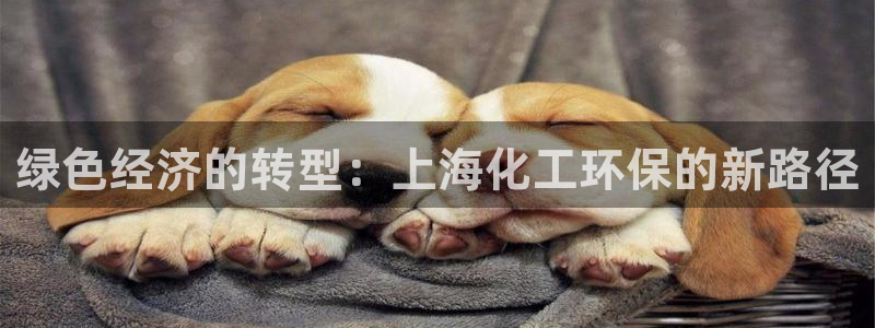 亿万 在线：绿色经济的转型：上海化工环保的新路径